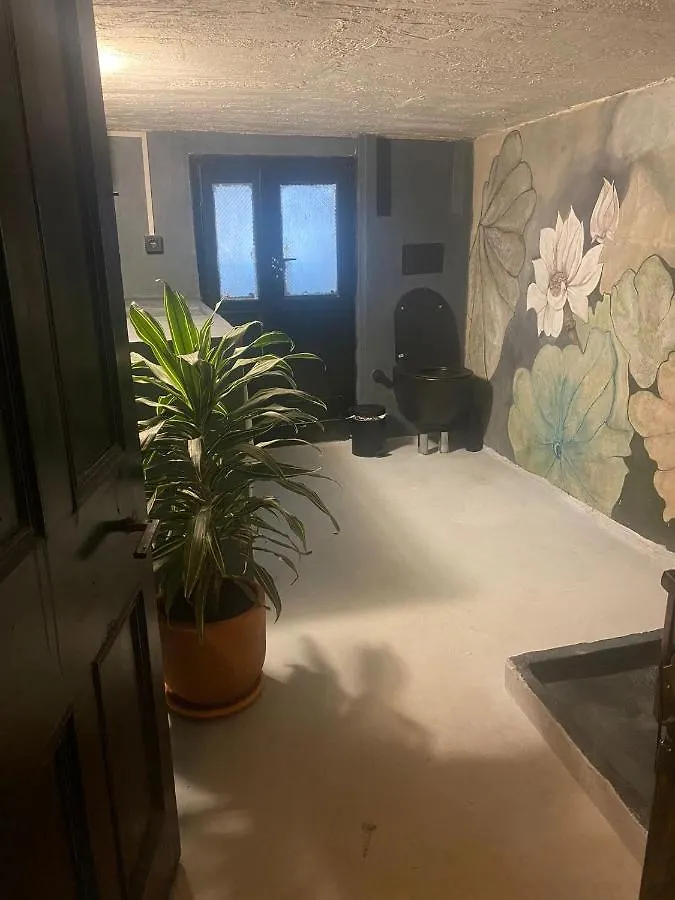 Homestay Vakana House Hostel Izmir